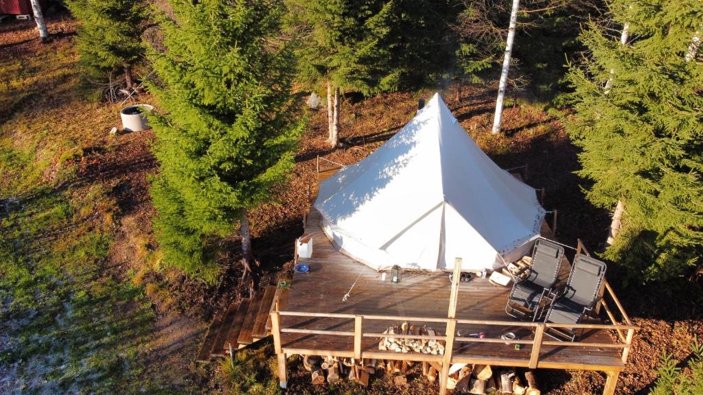 Glamping tent in a forest, lake view