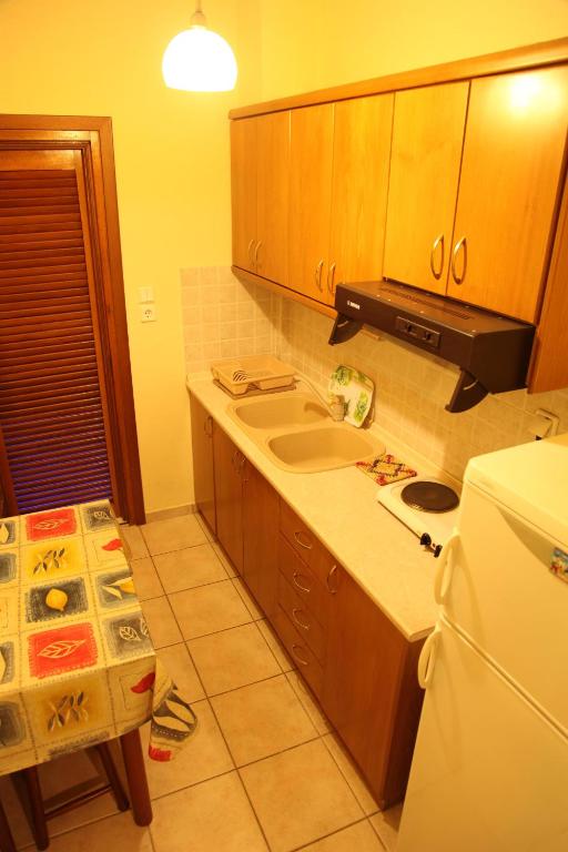 Kuchyň nebo kuchyňský kout v ubytování Vasiliki Apartments