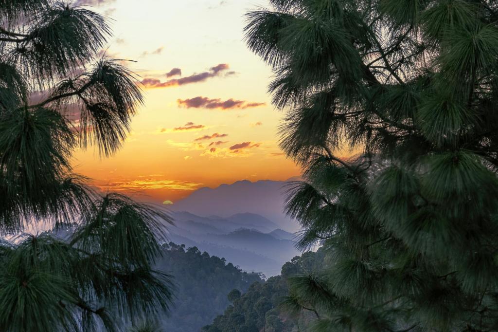 a view of the mountains through the trees at sunset at Snowfall View Home Kasauli Operated by Splendid Hotels in Kasauli