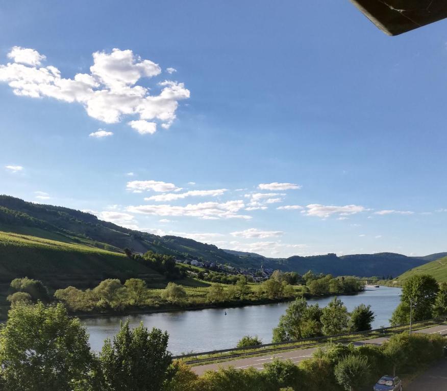 a view of a river with mountains in the background at Moselhof in Burg