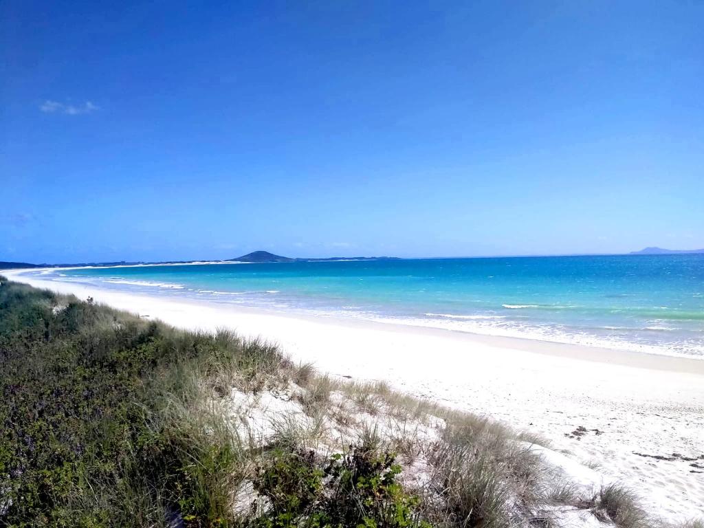 a sandy beach with the ocean and blue water at Seascape Peninsula Bach in Kaitaia