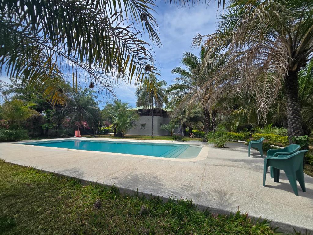 a swimming pool with two chairs and palm trees at La Maison Ardiana in Oussouye