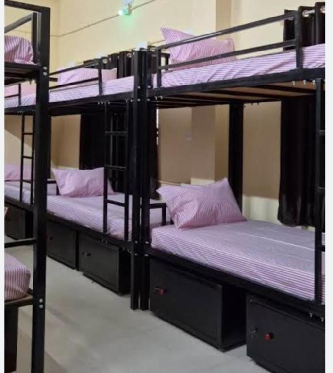 three bunk beds in a room with purple beds at Sainik Dormitory and Room Service in Lucknow