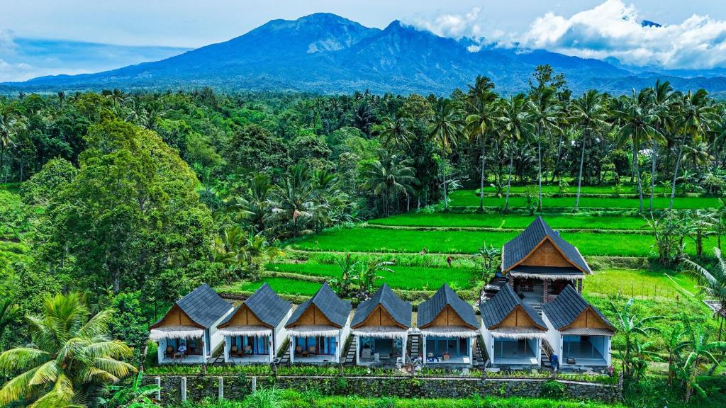 an aerial view of a resort in the jungle with mountains in the background at Rice Terrace Bungalows in Tetebatu