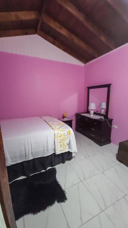a bedroom with pink walls and a bed and a mirror at Cozy Get Away in Portmore