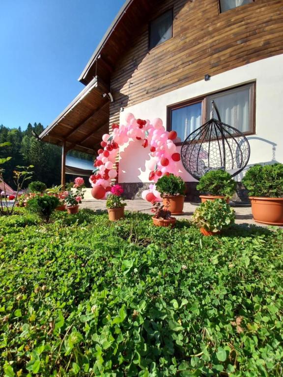 a house with potted flowers in front of it at Cabana La Aurel in Subcetate