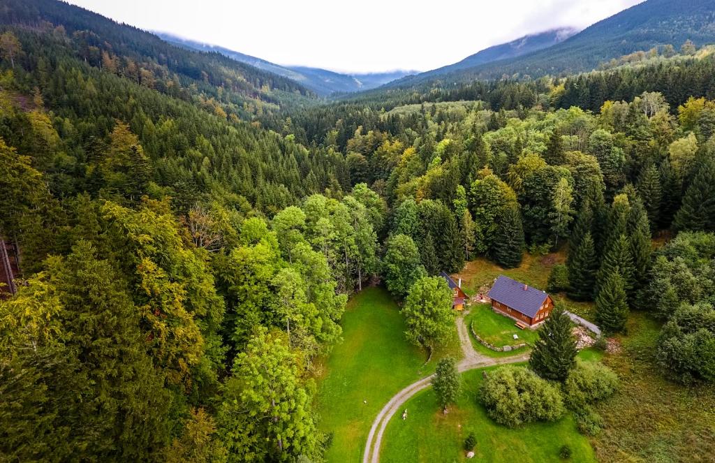 an aerial view of a house in the middle of a forest at Chalupa Pod Lomem in Dolní Morava