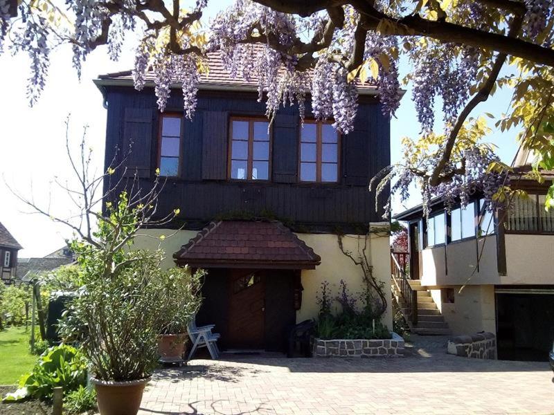 a house with purple wisterias hanging over it at La Gloriette Riquewihr in Riquewihr