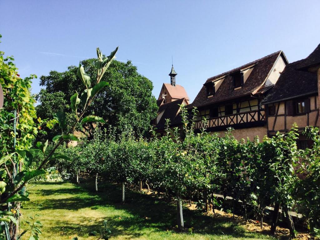 La Gloriette Riquewihr – photo 11