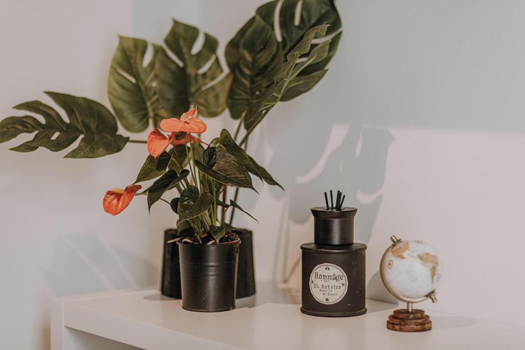 a shelf with two plants and a candle on it at BnB MAVIE & Whirlpool in Ingolstadt
