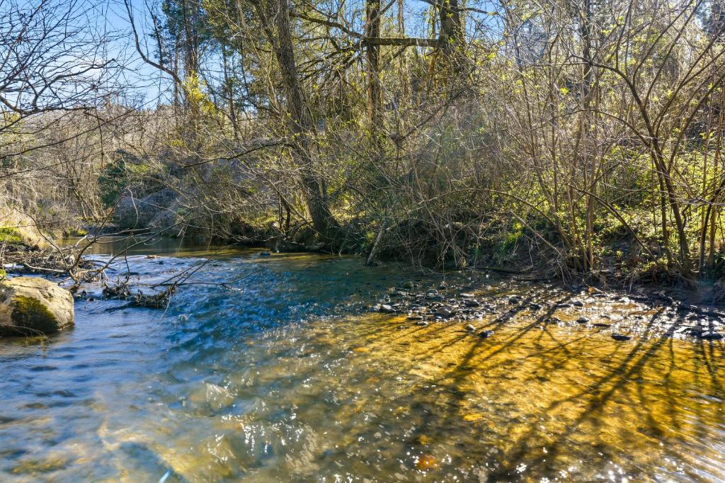 a stream of water with trees in the background at Creekside Hideout in Cosby