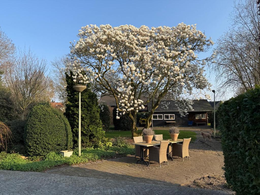 a table and chairs under a tree with white flowers at Villa France in Sevenum