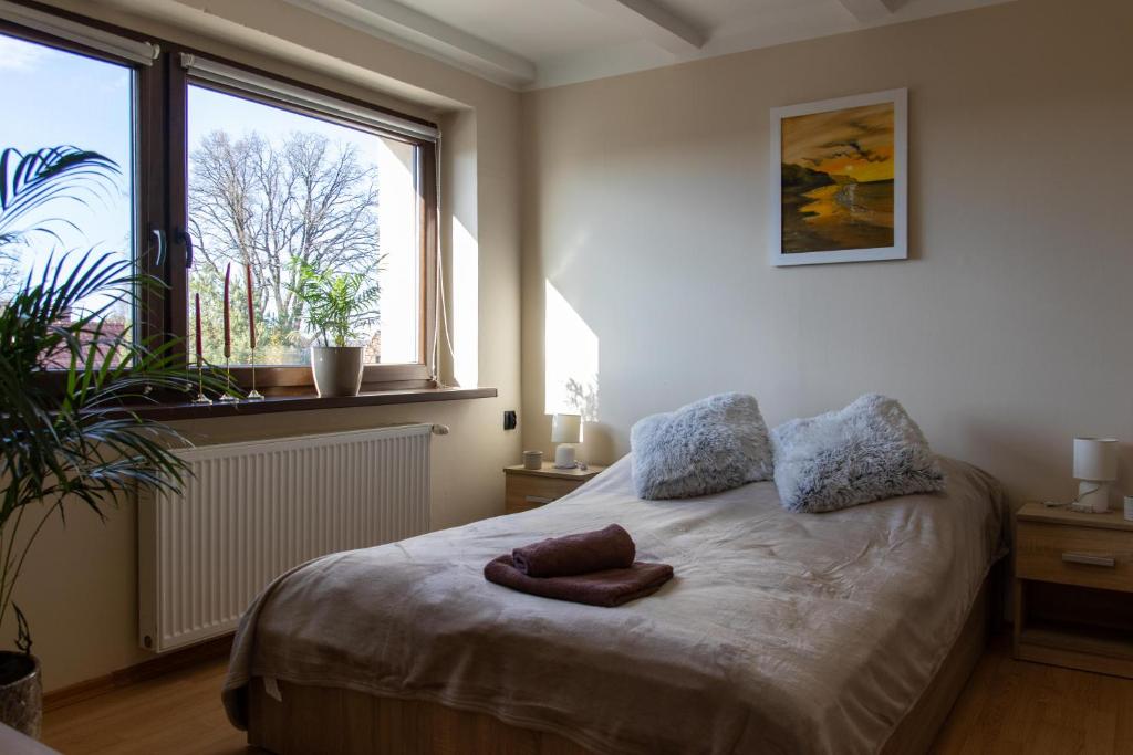 a bedroom with a bed with two pillows and a window at U Marysi i Jerzego in Żarnowska