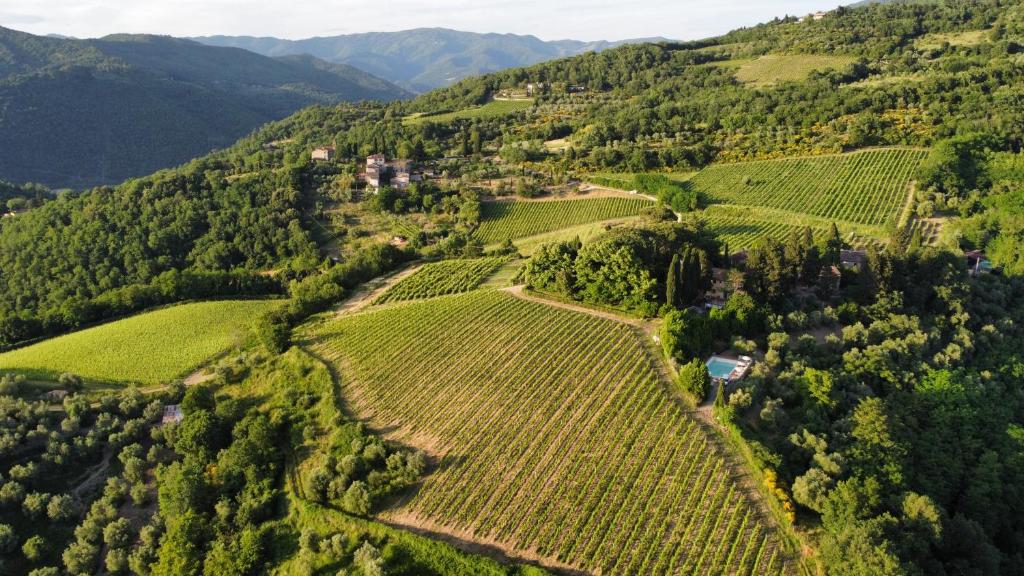 Luftaufnahme eines Weinbergs in den Bergen in der Unterkunft Frascole in Dicomano