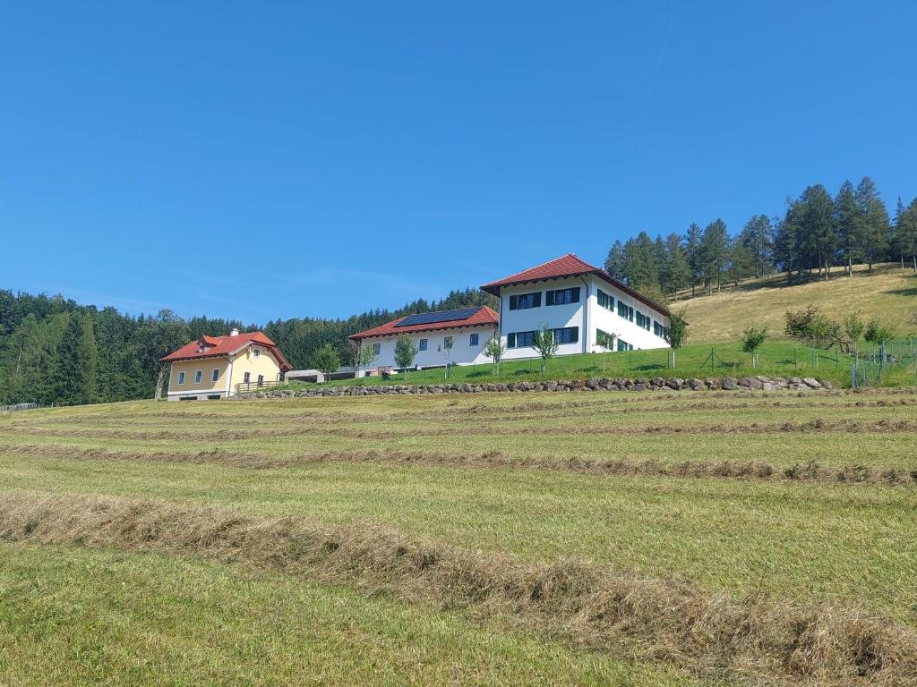 a house on top of a hill in a field at Sommerholz in Gmundnerberg