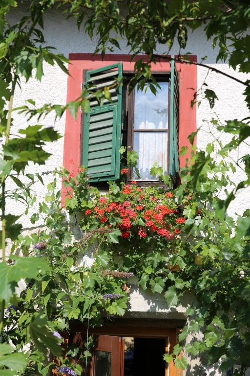 Zahrada ubytování Haus Wartenberg