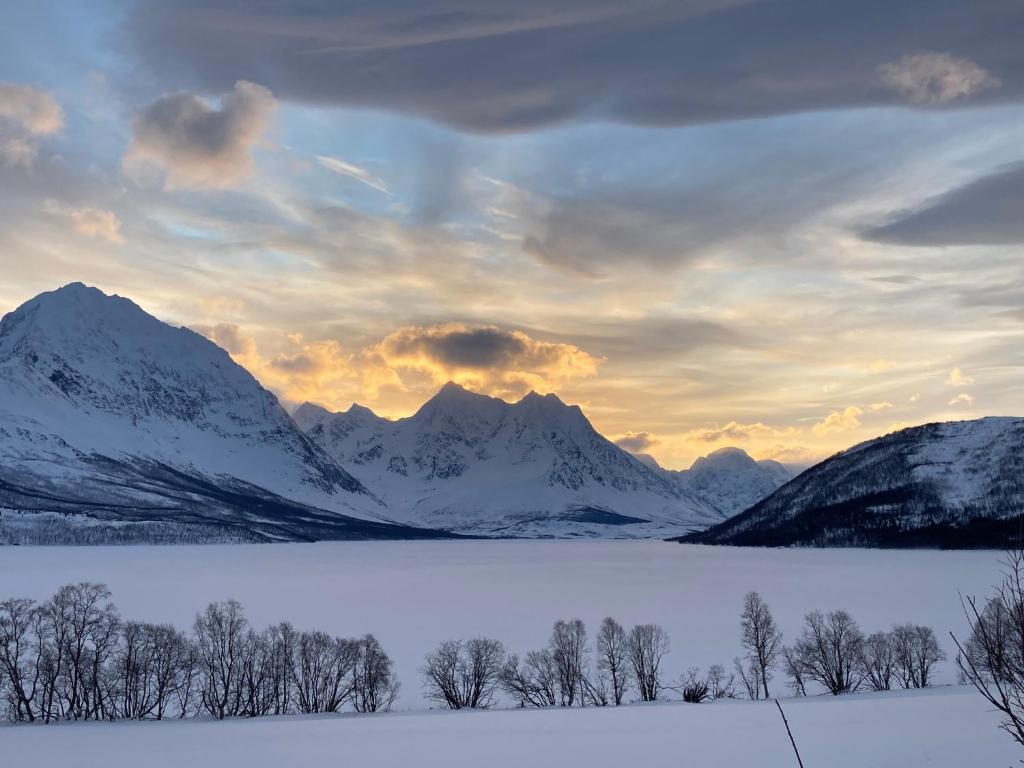a sunset over a snowy mountain range with trees in the foreground at Northern Light Lodge - Lyngen in Veidal