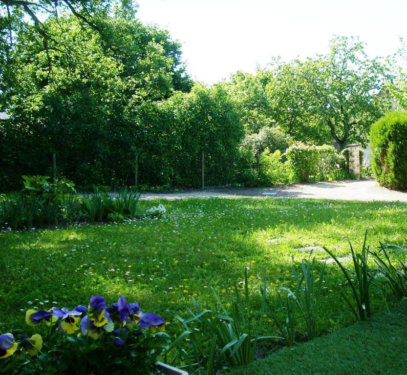 a garden with purple flowers in the grass at La Renaissance Saint-Gervais-la-Forêt in Saint-Gervais-la-Forêt