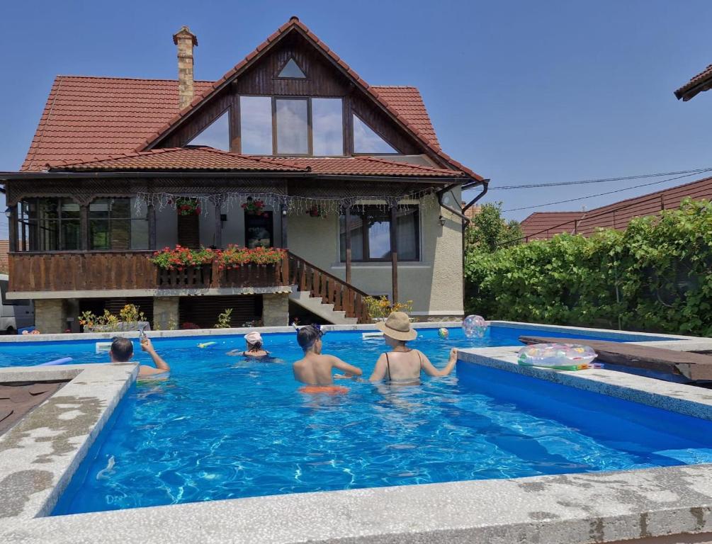 a group of children playing in a swimming pool at VILA COCA Sibiu in Sălişte
