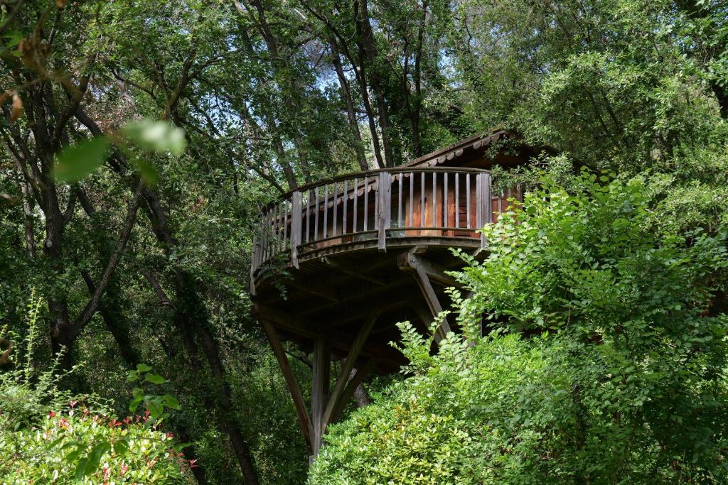 a wooden tree house in the middle of trees at Orion Treehouses in Saint Paul de Vence