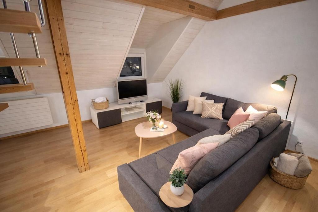 Charming attic duplex in Bern