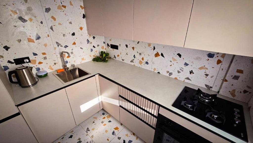 a small kitchen with a sink and a stove at Geese apt in Kremenchuk