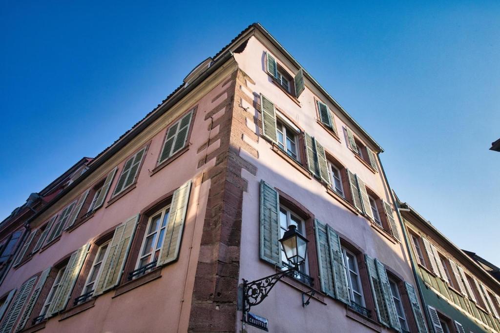 Nouveau - Schmoutzi & Schatzi - en Hypercentre avec Parking – photo 6