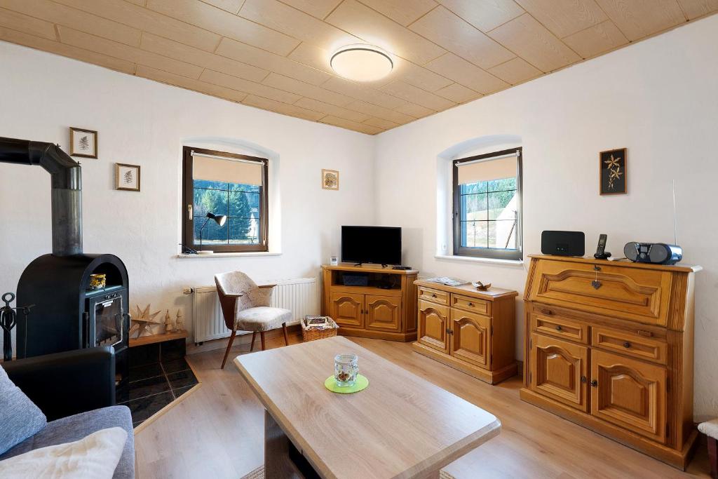 a living room with a table and a fireplace at Ferienhaus Schmalzgrube in Jöhstadt