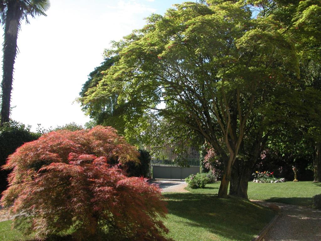 Vonkajšia záhrada v ubytovaní Villa D'Azeglio