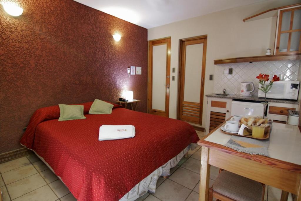 Kuchyň nebo kuchyňský kout v ubytování Hotel Xumec Mendoza