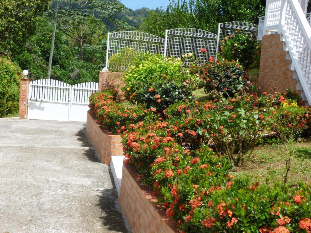 a garden with flowers in a brick wall at Appartements Allée des Ixoras in Saint Esprit