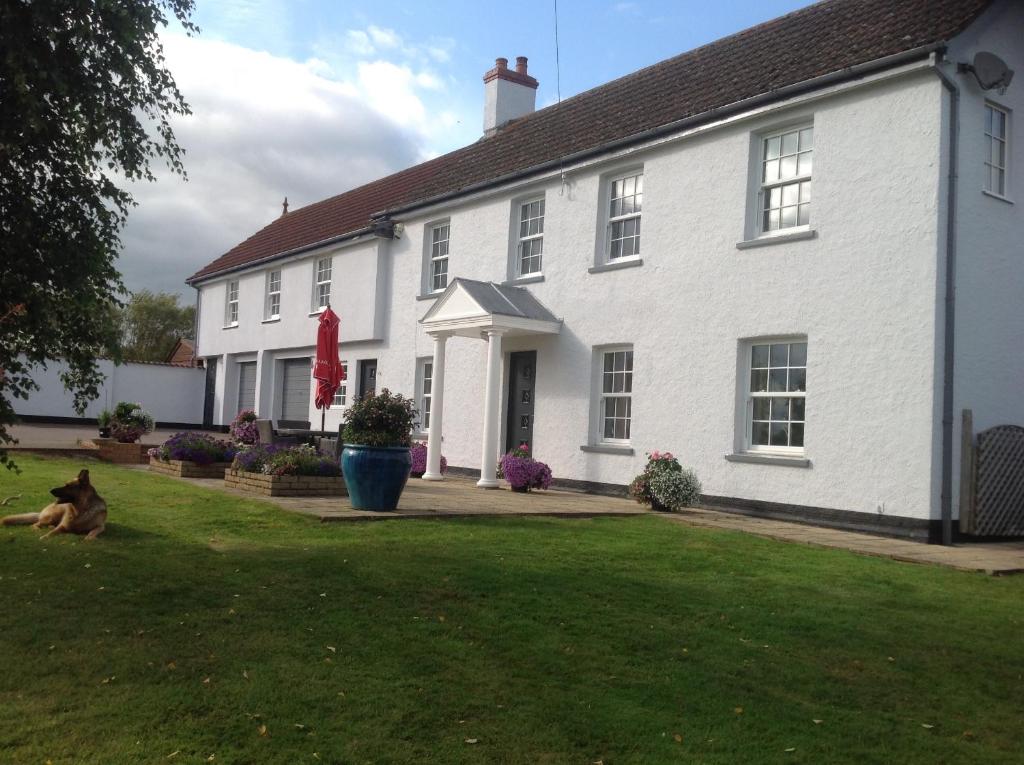 une maison blanche avec un chien assis dans la cour dans l'établissement Crannaford Cottage, à Broad Clyst