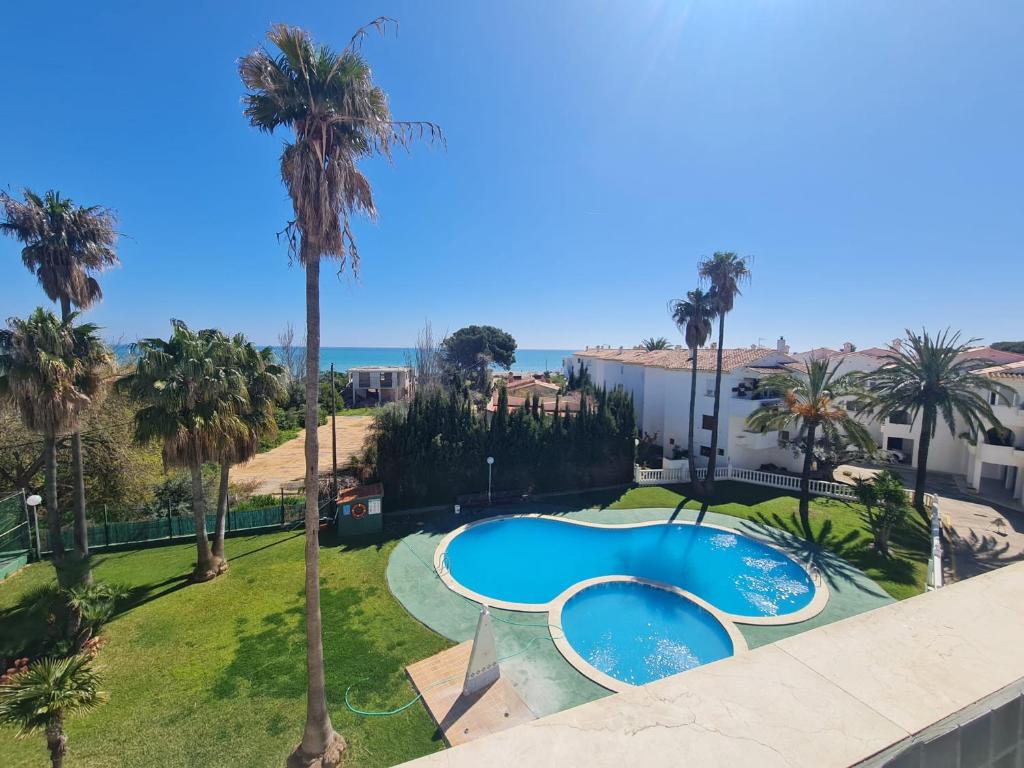 an overhead view of a swimming pool with palm trees at Apartamentos Cap y Corp in Alcossebre