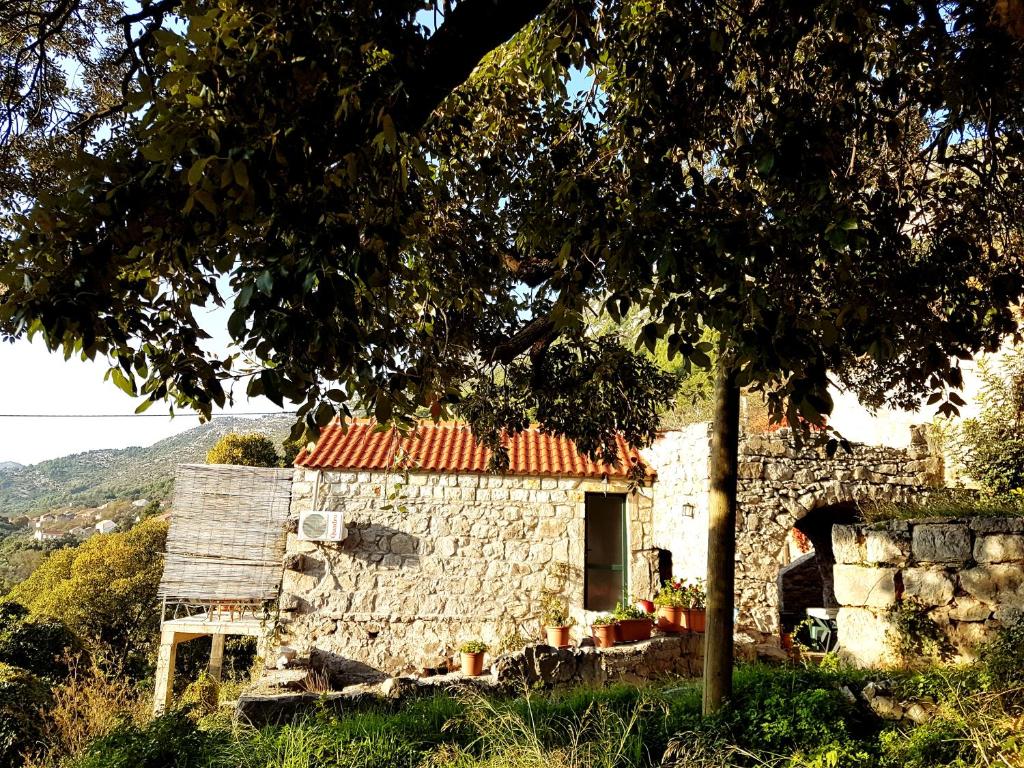 una vieja casa de piedra con un árbol delante en Cottage Melita the Apartment for Animal Lovers en Babino Polje