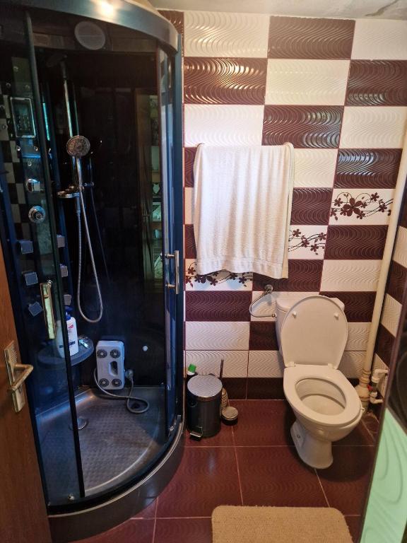 a bathroom with a shower and a toilet in it at Casa LarisaAndrei in Bîrsău