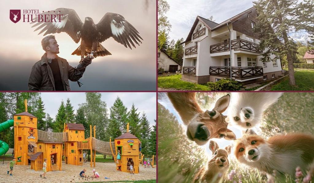 a collage of pictures of a house and a bird house at Vila Horec - depandance hotela Hubert Vital Resort in Vysoké Tatry