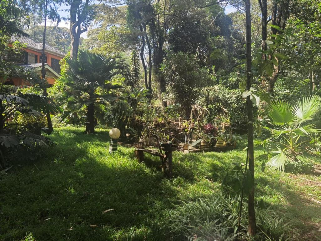 a garden with trees and plants in the grass at Kismet Hideaway in Nairobi