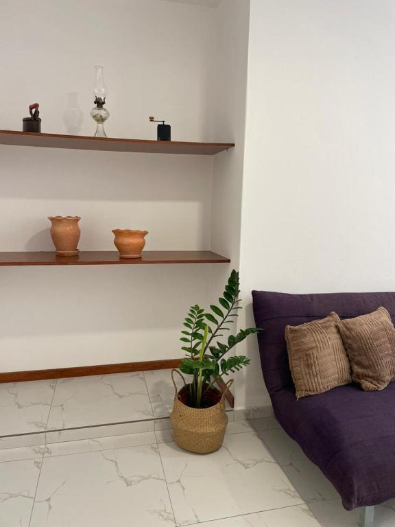 a living room with a purple couch and a plant at Apartamentos Andrade in Espargos