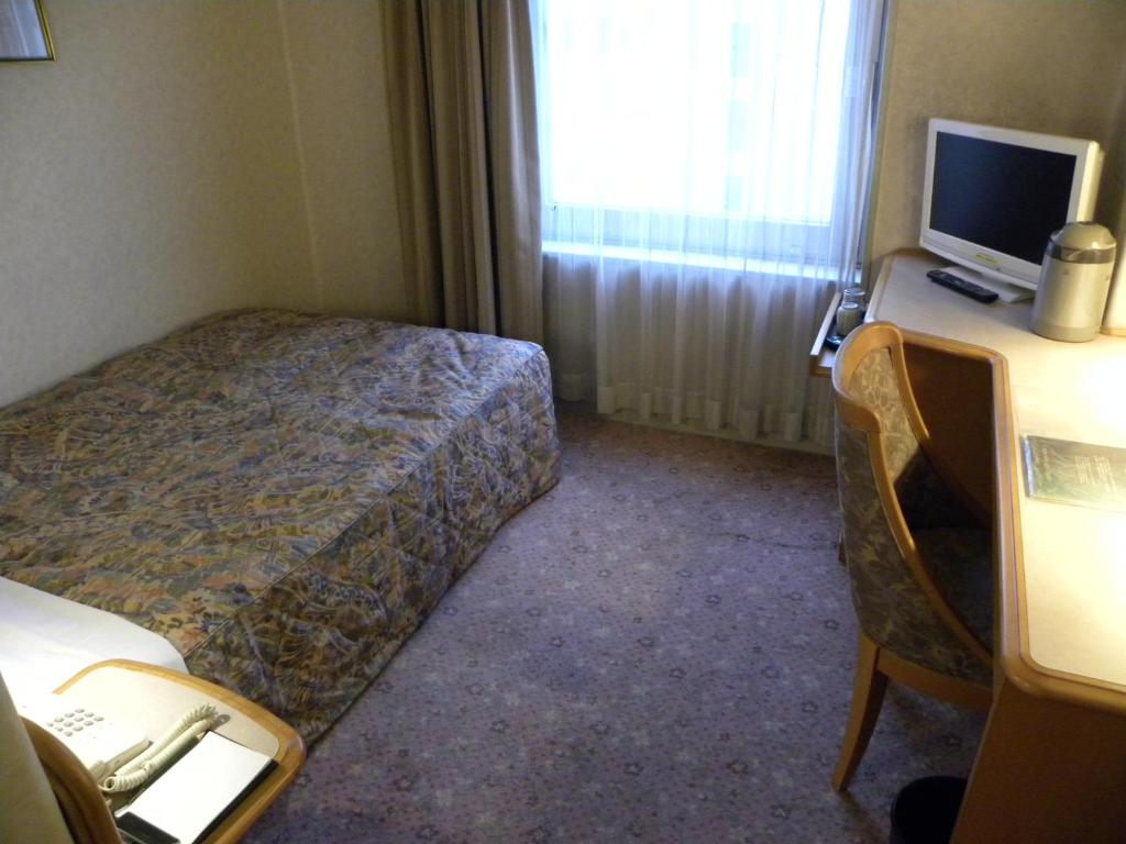 TV a/nebo společenská místnost v ubytování Hotel New Green Okachimachi