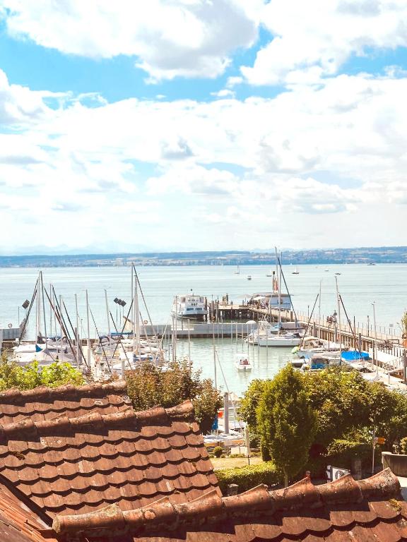 a view of a harbor with boats in the water at Seeloge mit Dachterrasse direkt am Westhafen in Hagnau am Bodensee in Hagnau