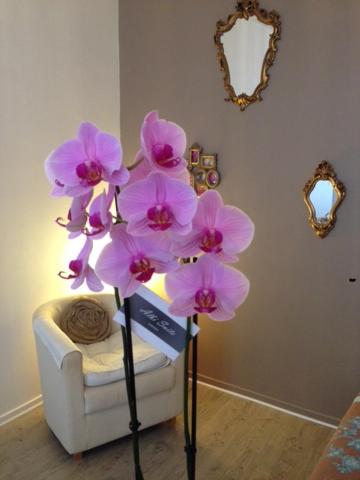 a vase of purple flowers in front of a chair at Albi-Suite in Albi