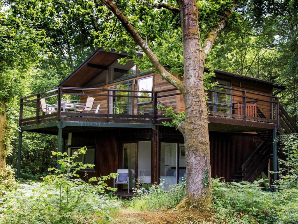 a cabin in the woods with a tree at 2 Bed in Beaulieu oc-nfl71 in Beaulieu
