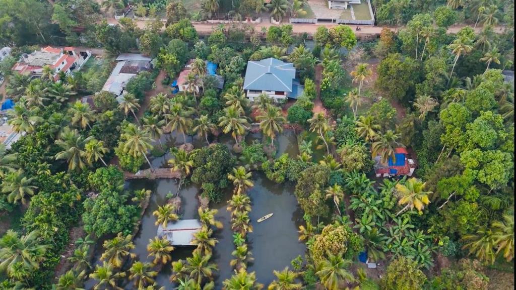an aerial view of a tropical island with palm trees at Hestia Homestay- 2 Bedroom Retreat Aymanam in Kottayam
