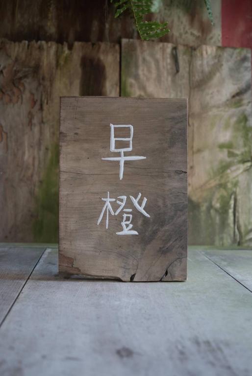 a wooden sign with chinese writing on it at Zao Orange Homestay in Taitung City