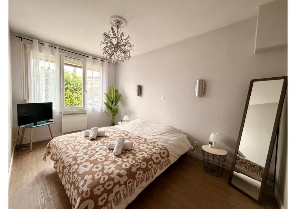 a bedroom with a bed and a mirror and a television at Maison Face à Palestra avec Jardin & Confort in Chaumont