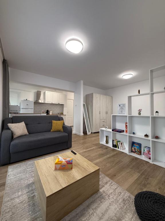a living room with a couch and a coffee table at Central Studio Yoko , Craiova in Craiova