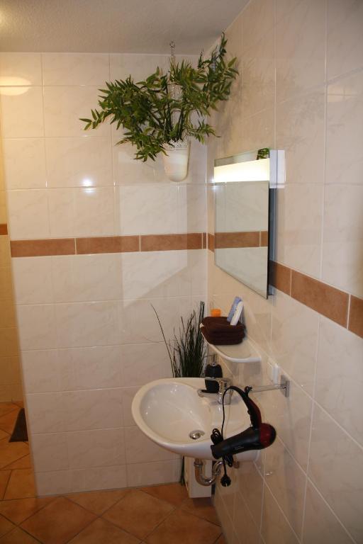 ein Badezimmer mit einem Waschbecken und einer Pflanze an der Wand in der Unterkunft Apartment Kreuzstraße in Hürth
