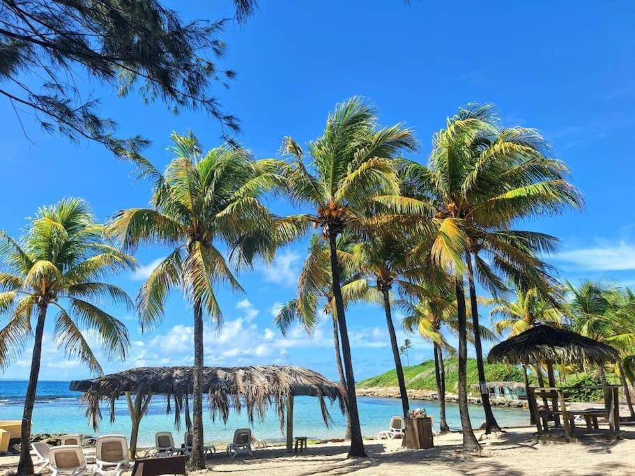 a beach with palm trees and chairs and the ocean at La Casa Manao - Charmant Studio SF in Saint-François