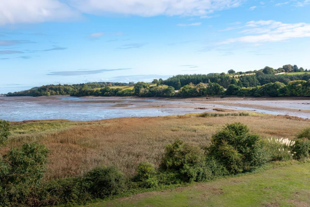 a view of a river with trees in the background at Egret in Newton Abbot