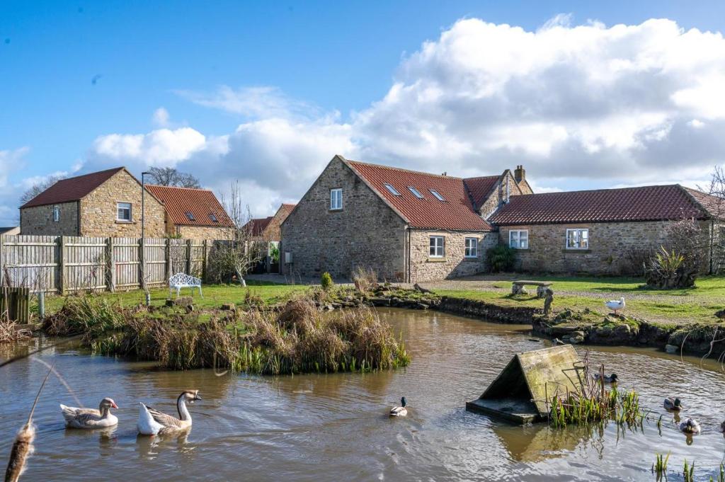 a group of ducks swimming in a river with houses at 1 Bed in Richmond oc-93264 in Richmond